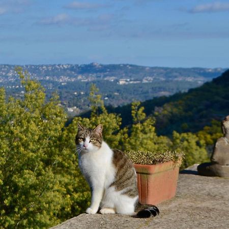 Amoureux Du Calme Et De La Nature Tanneron Zewnętrze zdjęcie