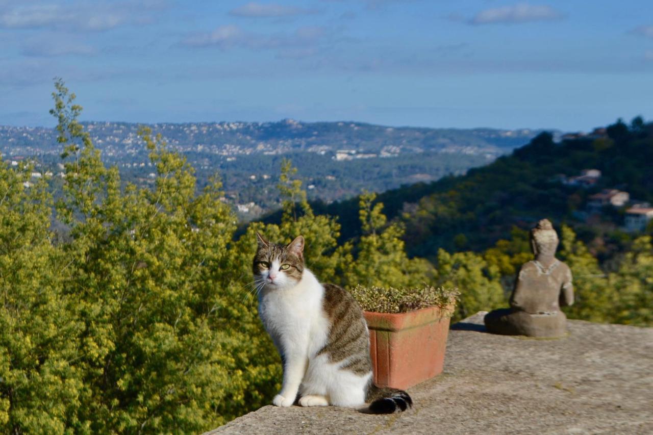 Amoureux Du Calme Et De La Nature Tanneron Zewnętrze zdjęcie